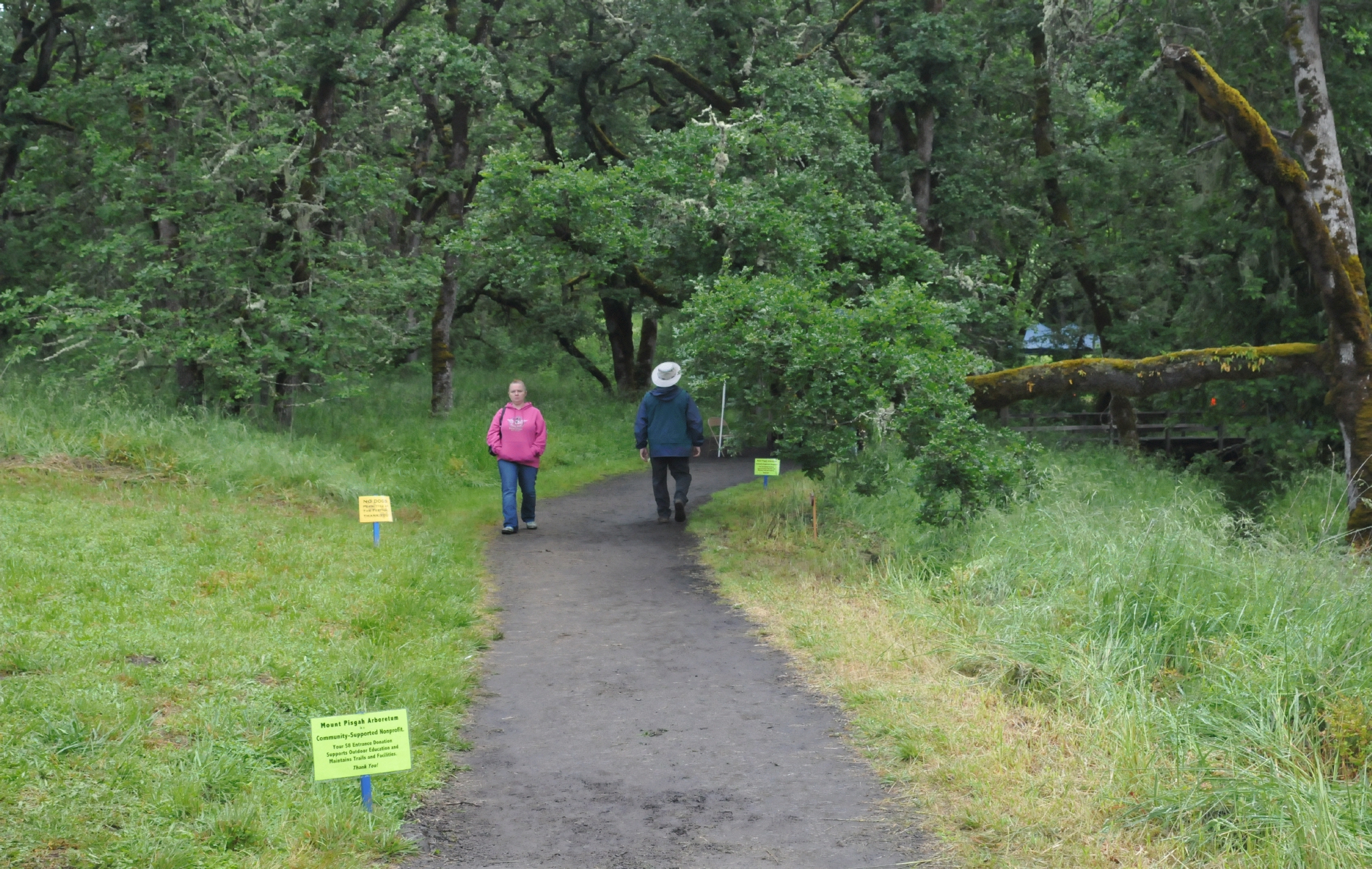 ./Mount_Pisgah_Arboretum_Wildflower_Festival_20160515_133017_C16_1901.jpg