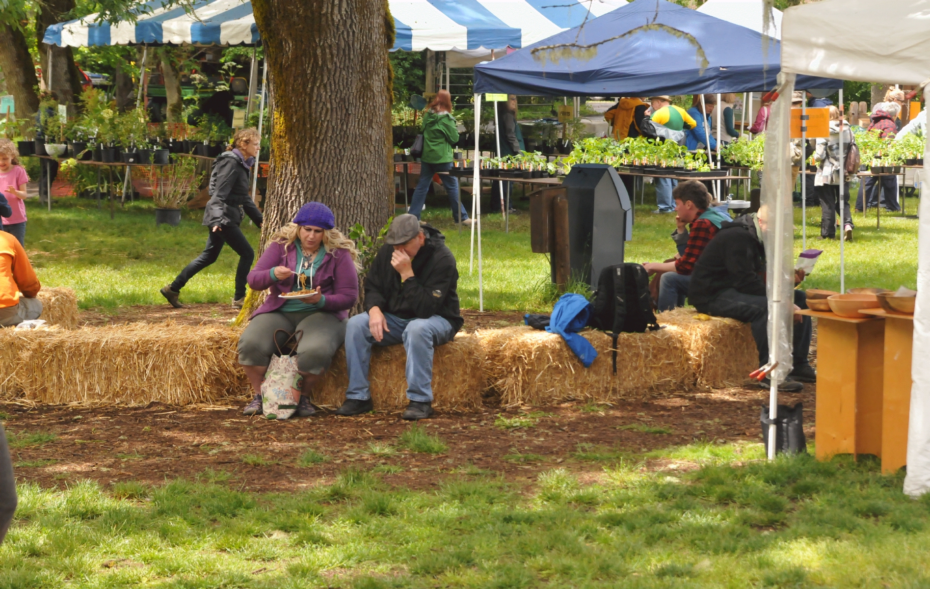 ./Mount_Pisgah_Arboretum_Wildflower_Festival_20160515_134718_C16_1933.jpg