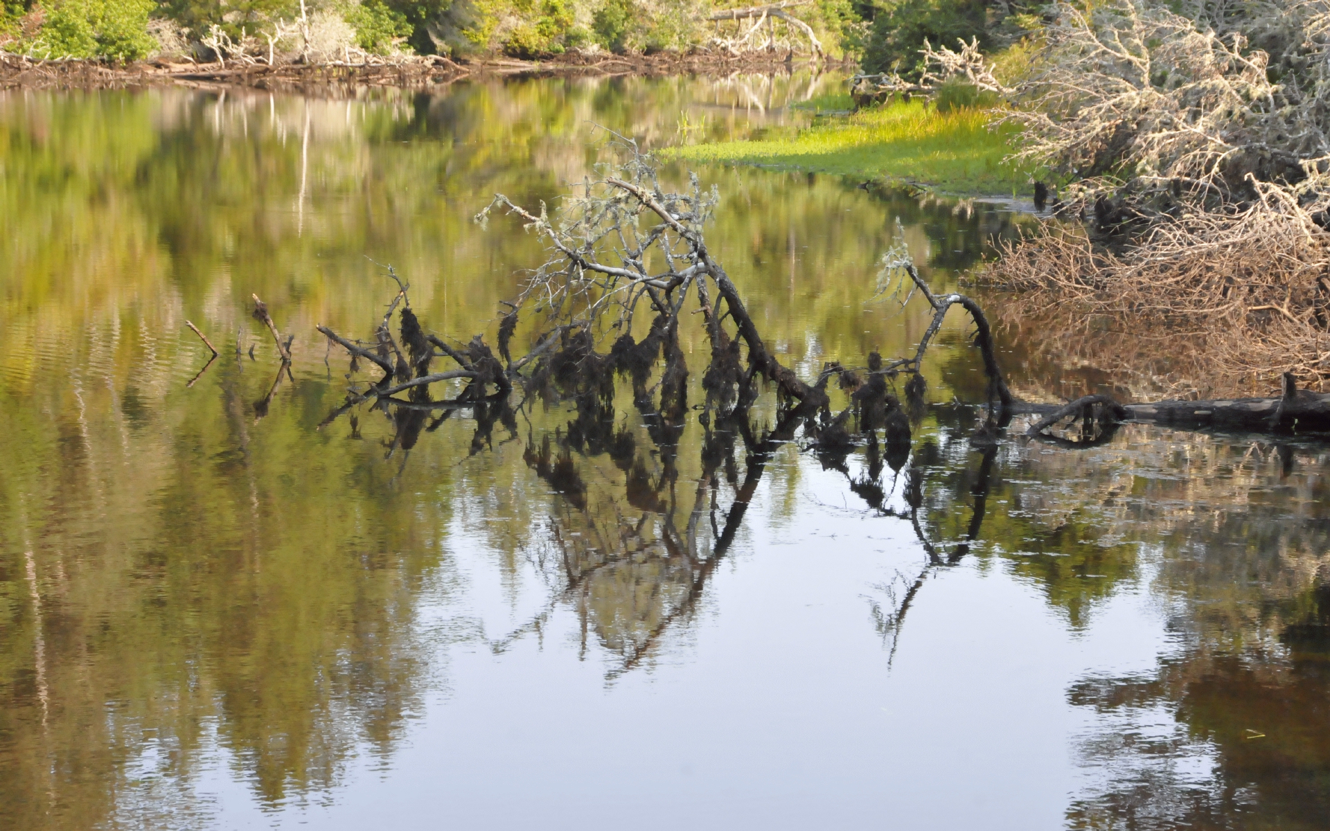 ./Reflections_Lagoon_Cqampground_20230815_102921_C23_1087.jpg