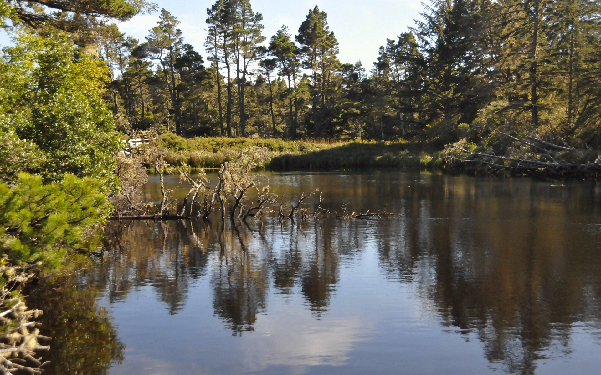 ./Reflections_Lagoon_Campground_20240811_165508_C24_0763.jpg