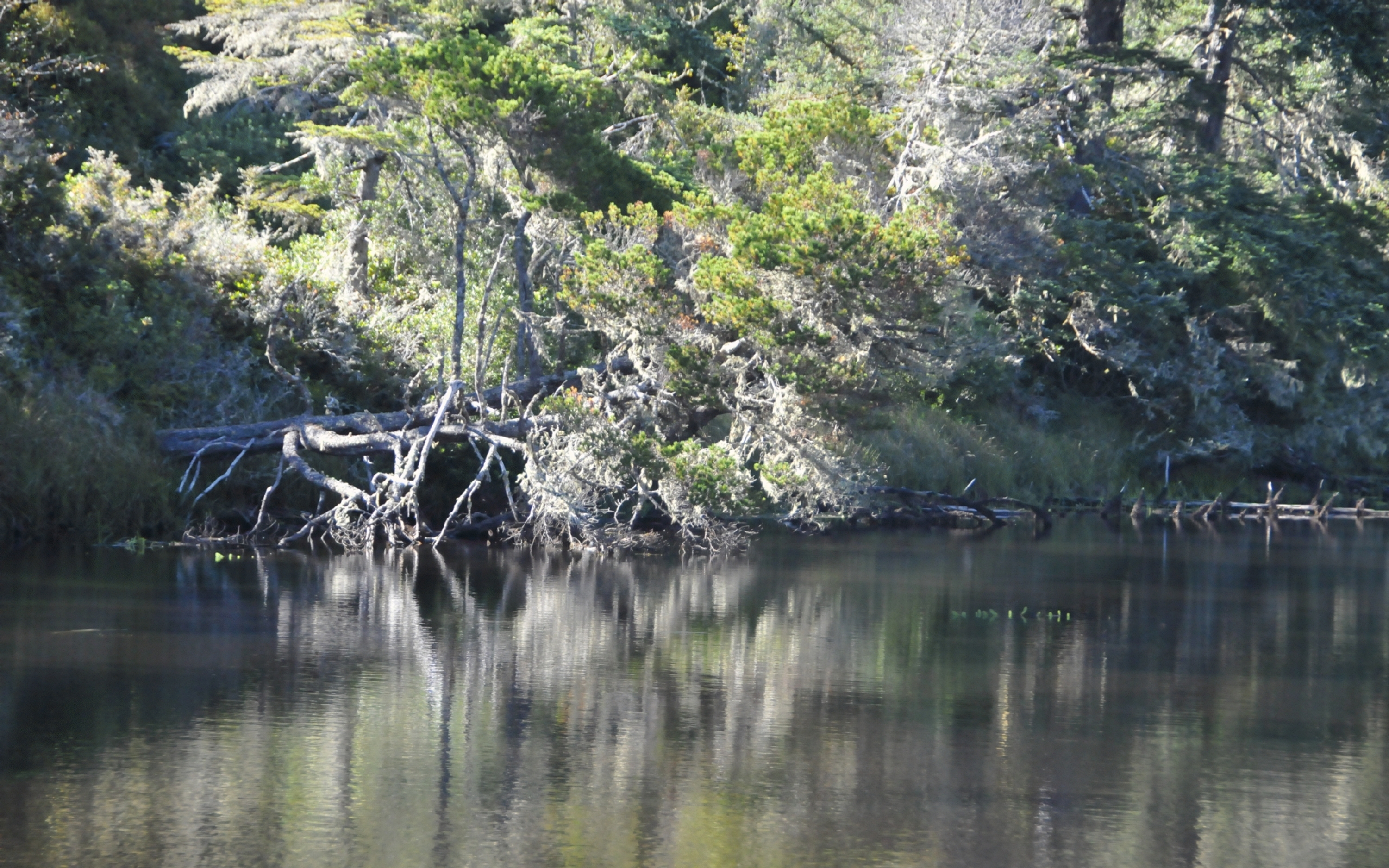 ./Reflections_Lagoon_Campground_20240811_170101_C23_0771.jpg