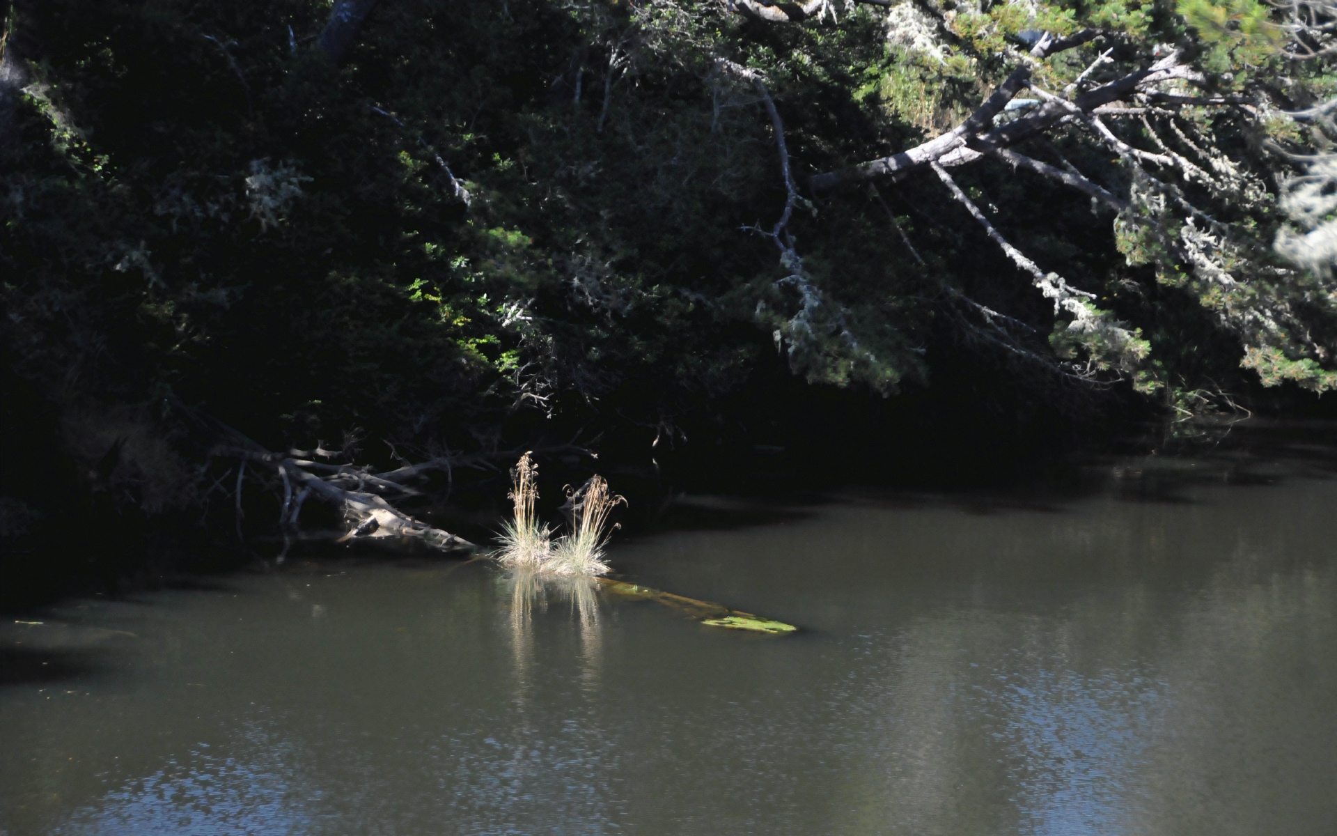 ./Reflections_Lagoon_Campground_20240811_171144_C24_0791.jpg