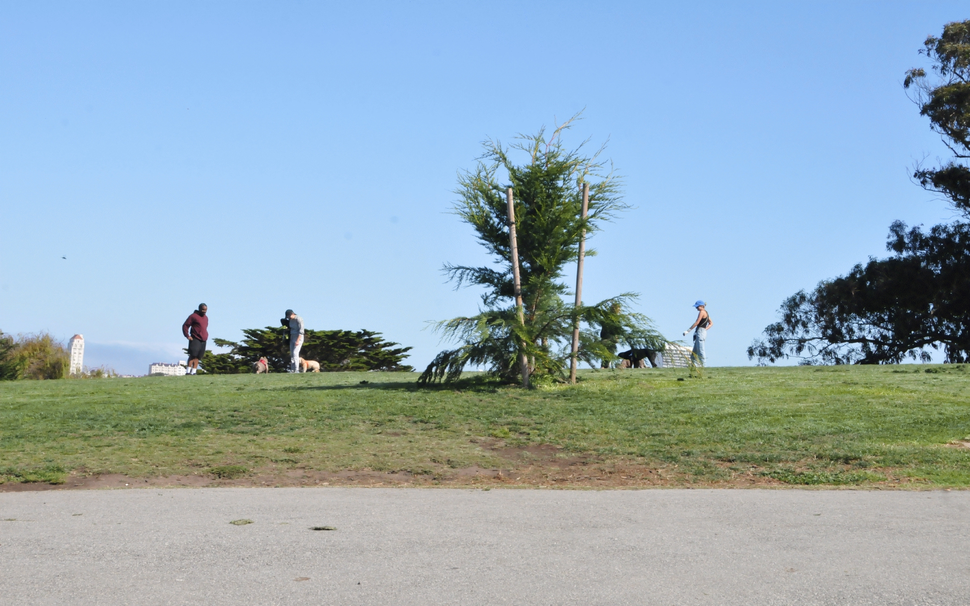 ./Alamo_Square_San_Francisco_20230913_110451_C23_2765.jpg