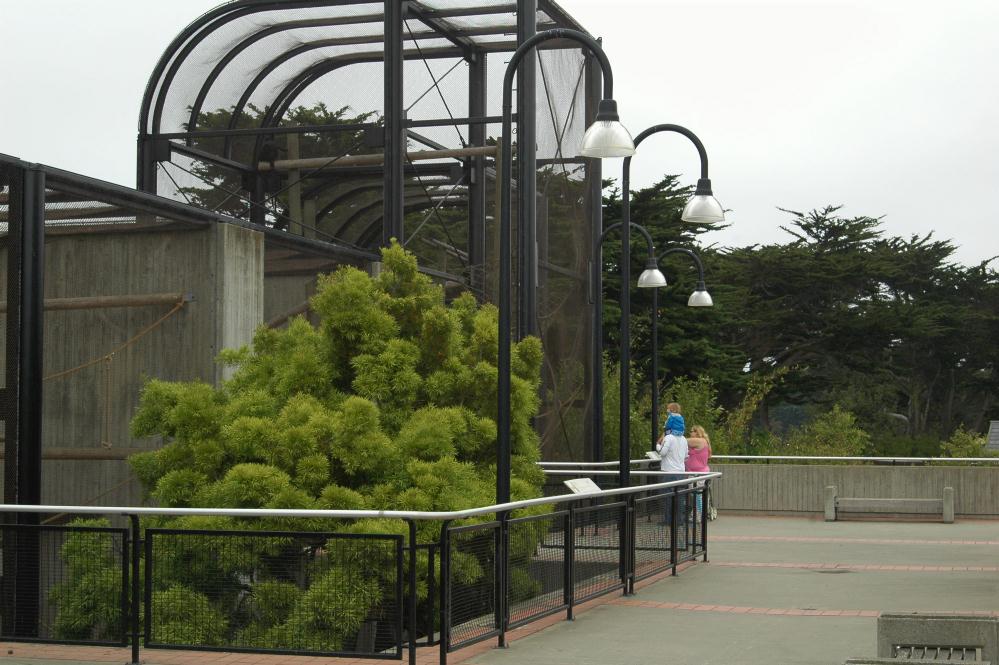 ./SFZoo2006_03.jpg