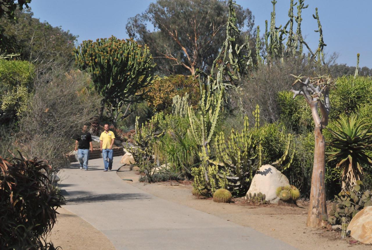 ./Desert_Garden_Balboa_Park_20101012_132701_BCX_9706.jpg