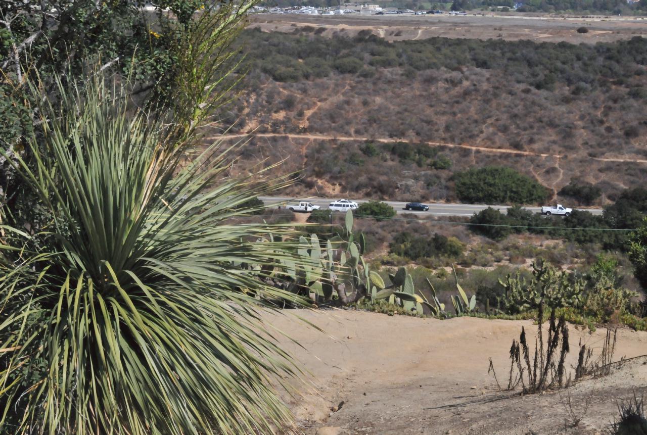 ./Desert_Garden_Balboa_Park_20101012_133049_BCX_9718.jpg