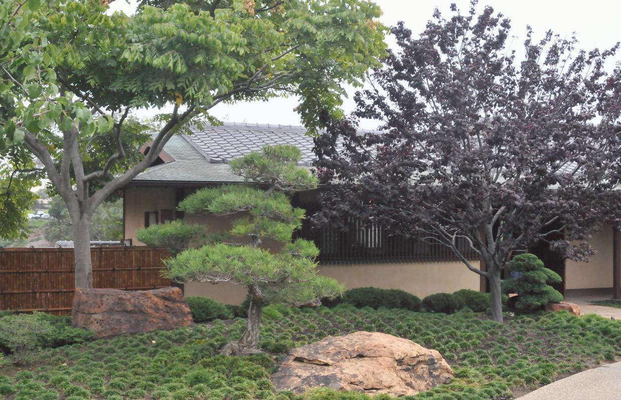 ./Japanese_Garden_Balboa_Park_20101014_134730_BCY_0381.jpg