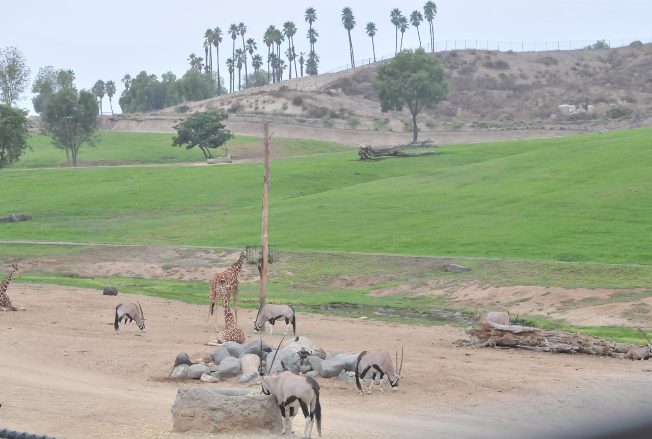 ./Wild_Animal_Park_Tour_20101015_111436_BCY_0597.jpg