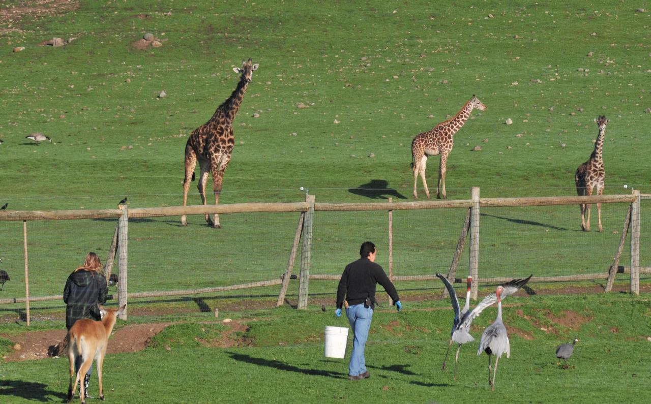 ./FaunaSafariWest20090221_04_081752_4529TNT.jpg