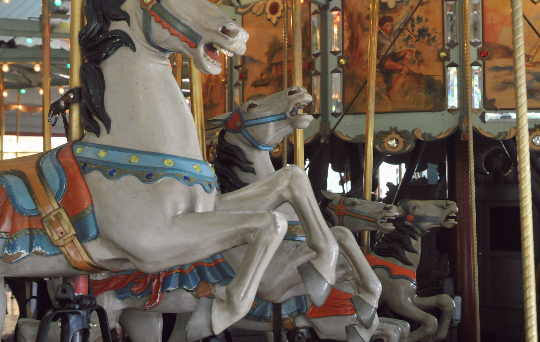 ./Tilden_Park_Carousel_20150124_145015_C15_0260.jpg