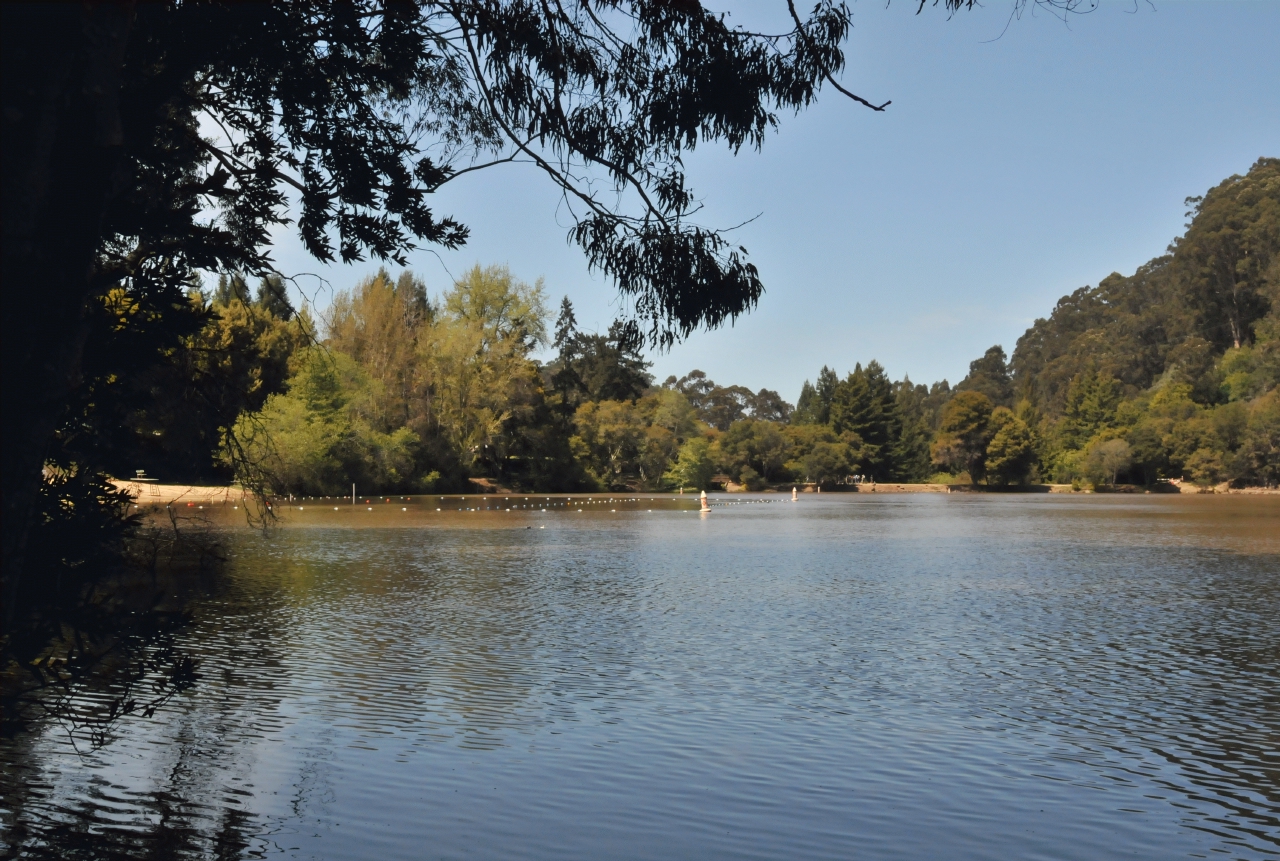 ./Lake_Anza_Oakland_20120415_135838_B12_3798.jpg