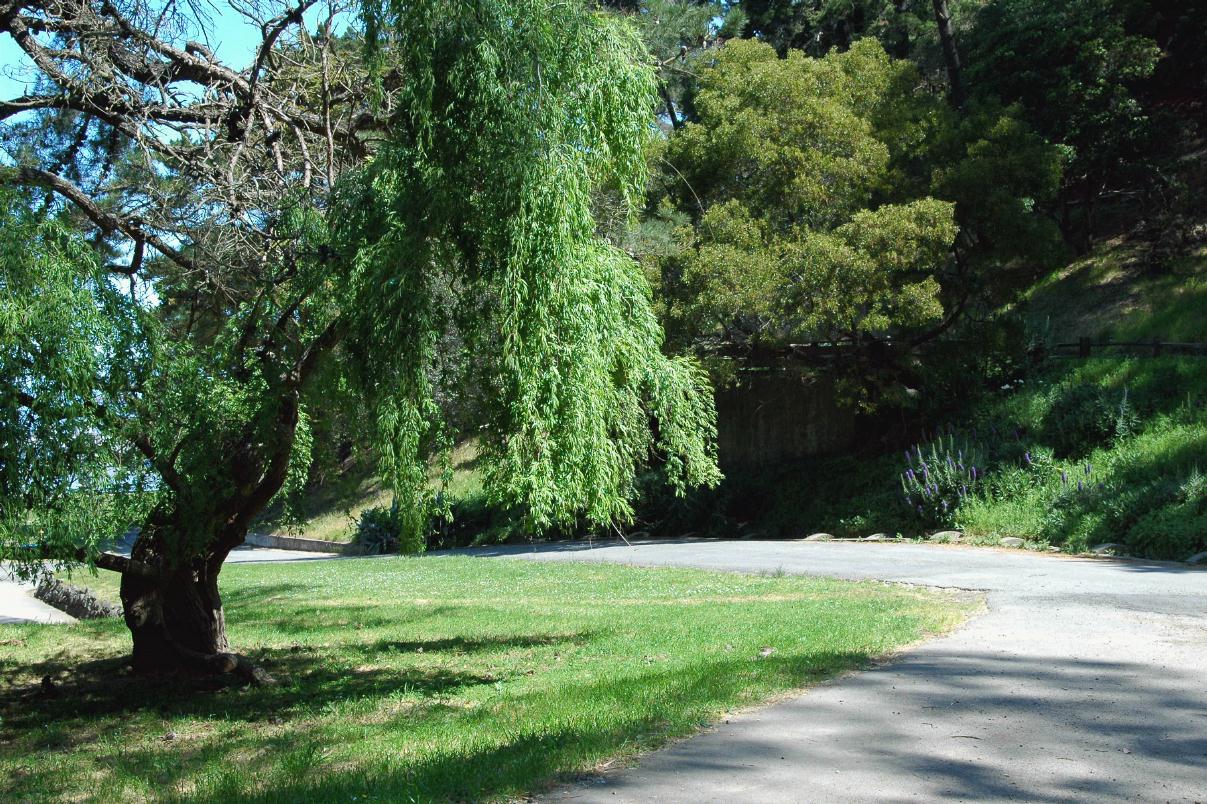 ./AngelIsland_20_2008_2083B.jpg