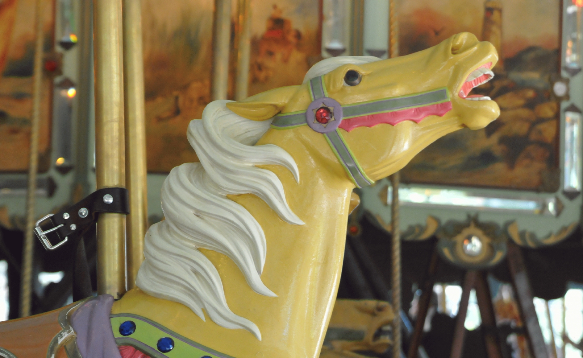 ./Tilden_Park_Carousel_20150124_142210_C15_0192.jpg