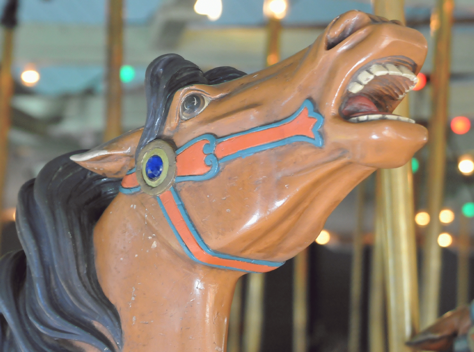 ./Tilden_Park_Carousel_20150124_144941_C15_0257.jpg