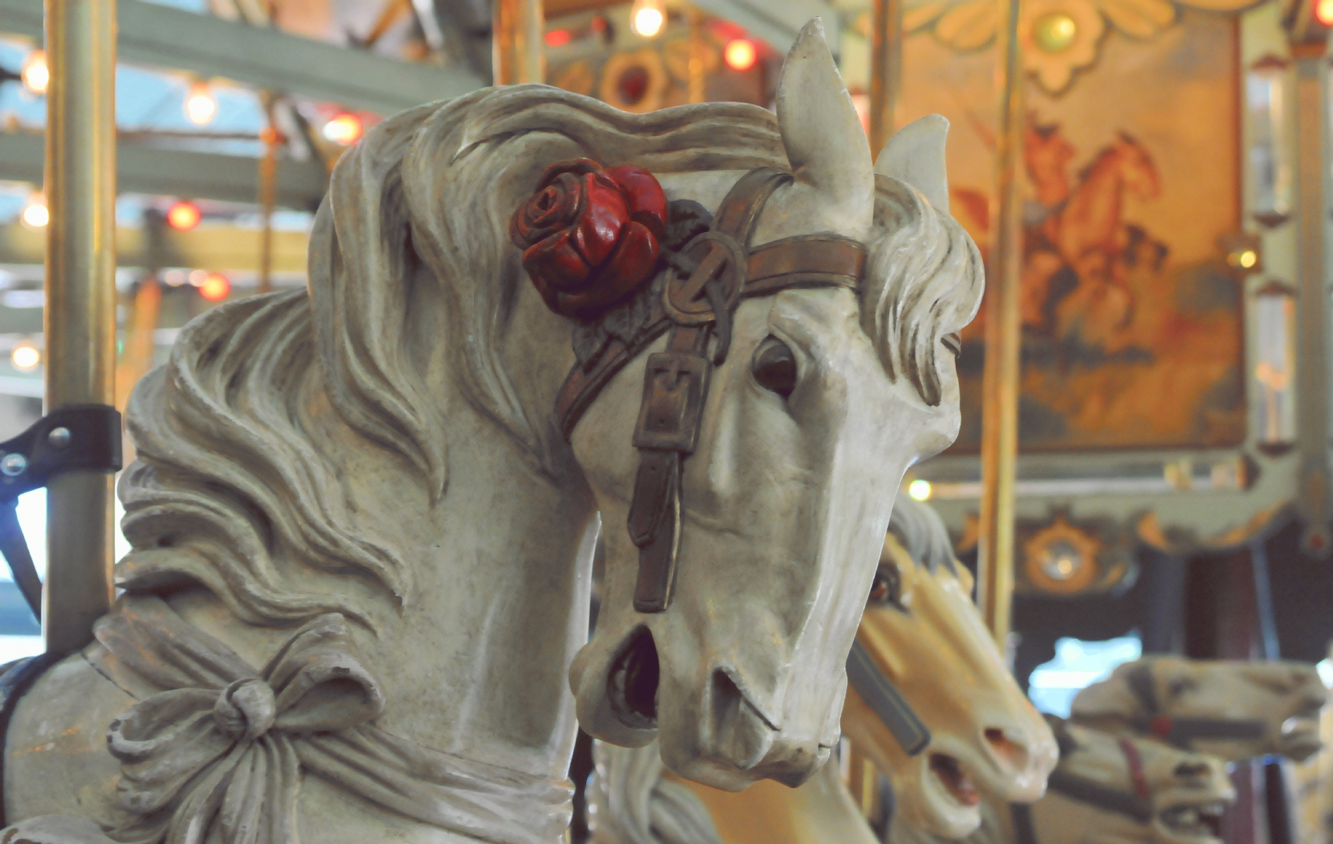 ./Tilden_Park_Carousel_20150124_145102_C15_0265.jpg