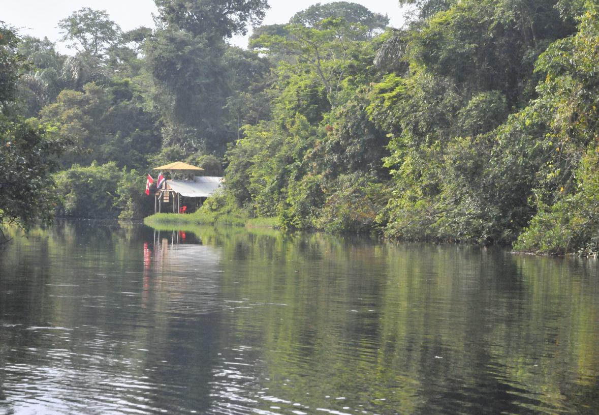 ./TortugueroBoatTourDawn20080909_16_3591BCX.jpg