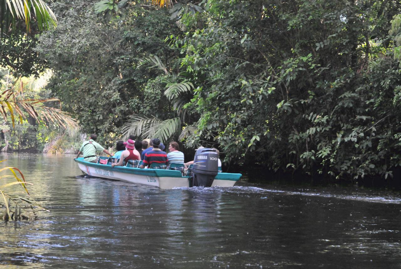 ./TortugueroBoatTourDawn20080909_18_3594BCX.jpg