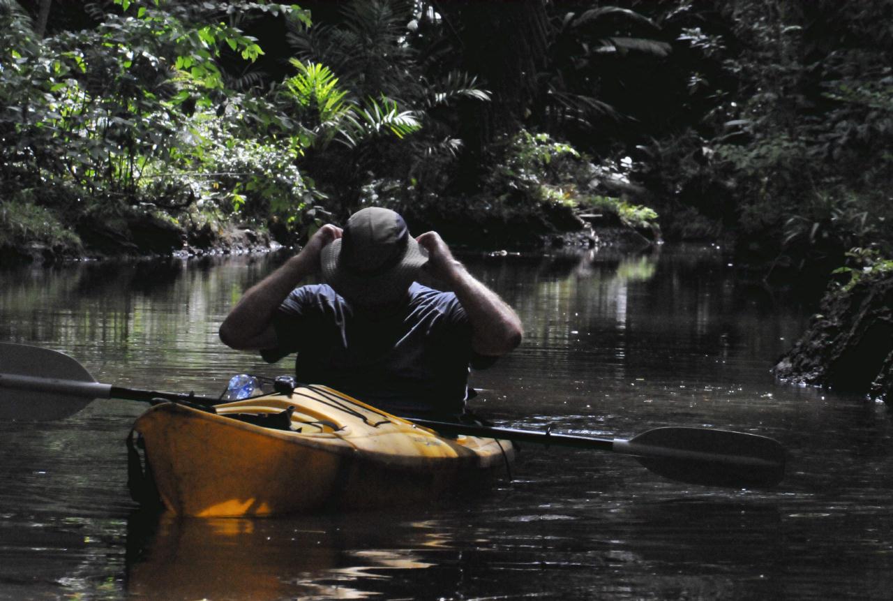 ./CanoeTripTurtleIslandLodgeCostaRica20080909_01_1518TNT.jpg