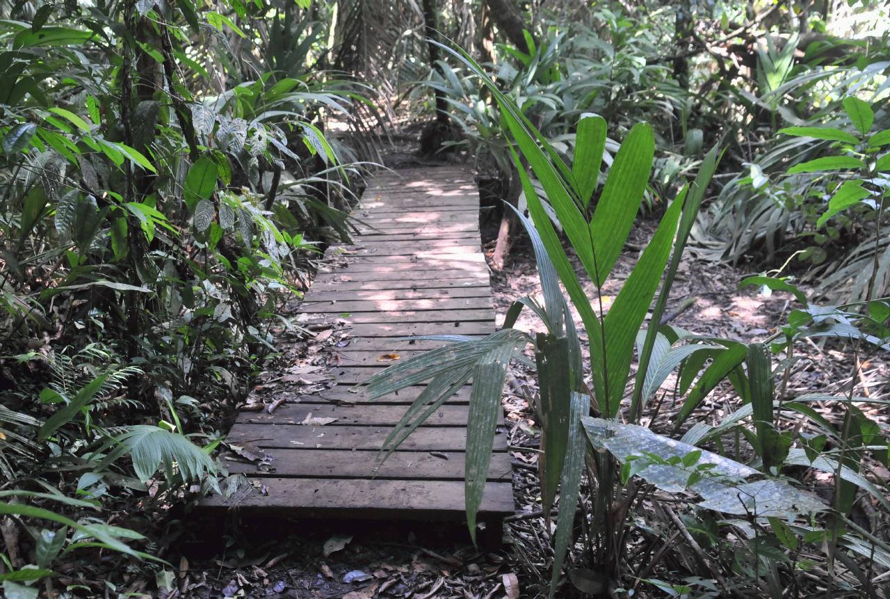 ./JungleWalkTurtleBeachLodgecostaRica20080909_09_3624BCX.jpg