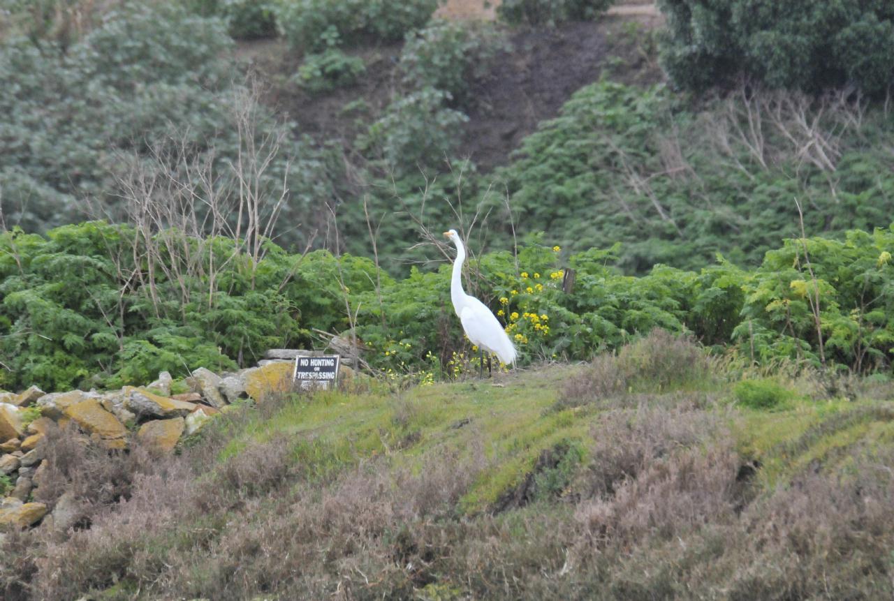 ./Elkhorn_Slough_Safari_20100312_103442_7711TNT.jpg