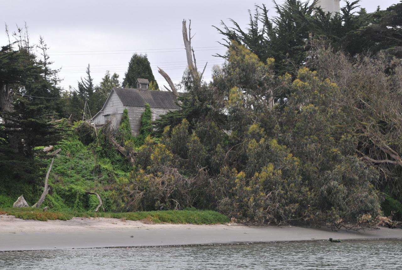 ./Elkhorn_Slough_Safari_20100312_111840_2906BCX.jpg