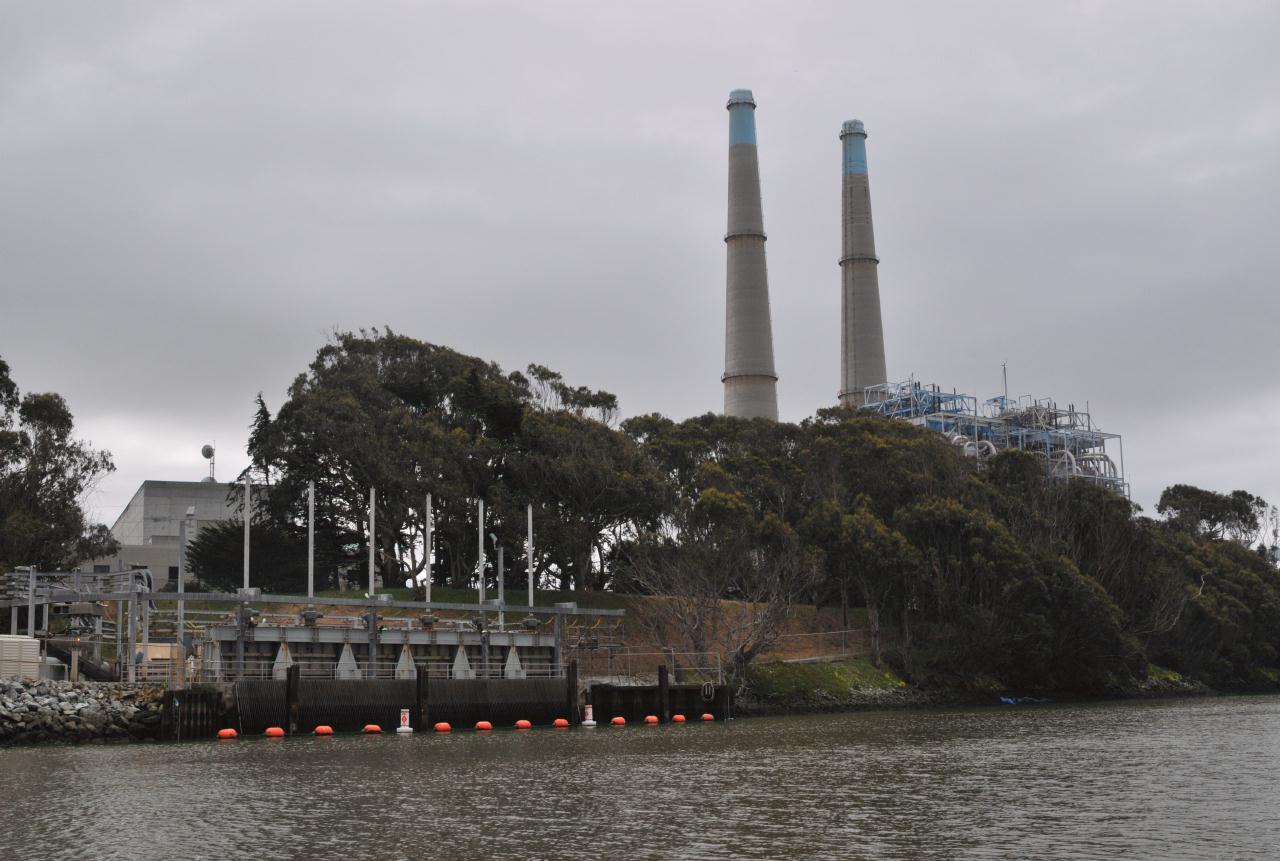 ./Elkhorn_Slough_Safari_20100312_112302_2918BCX.jpg