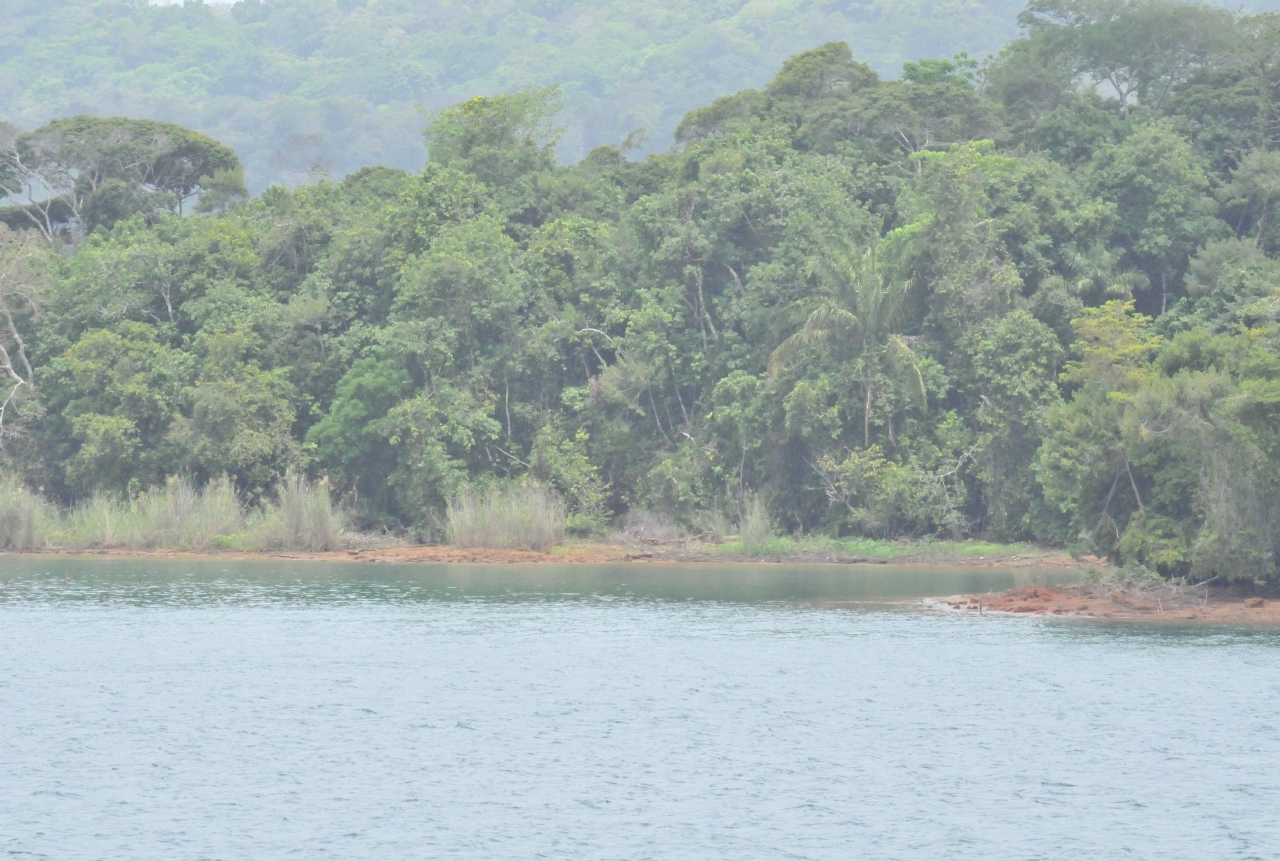 ./Panama_Canal_20140525_114424_T14_0710.jpg