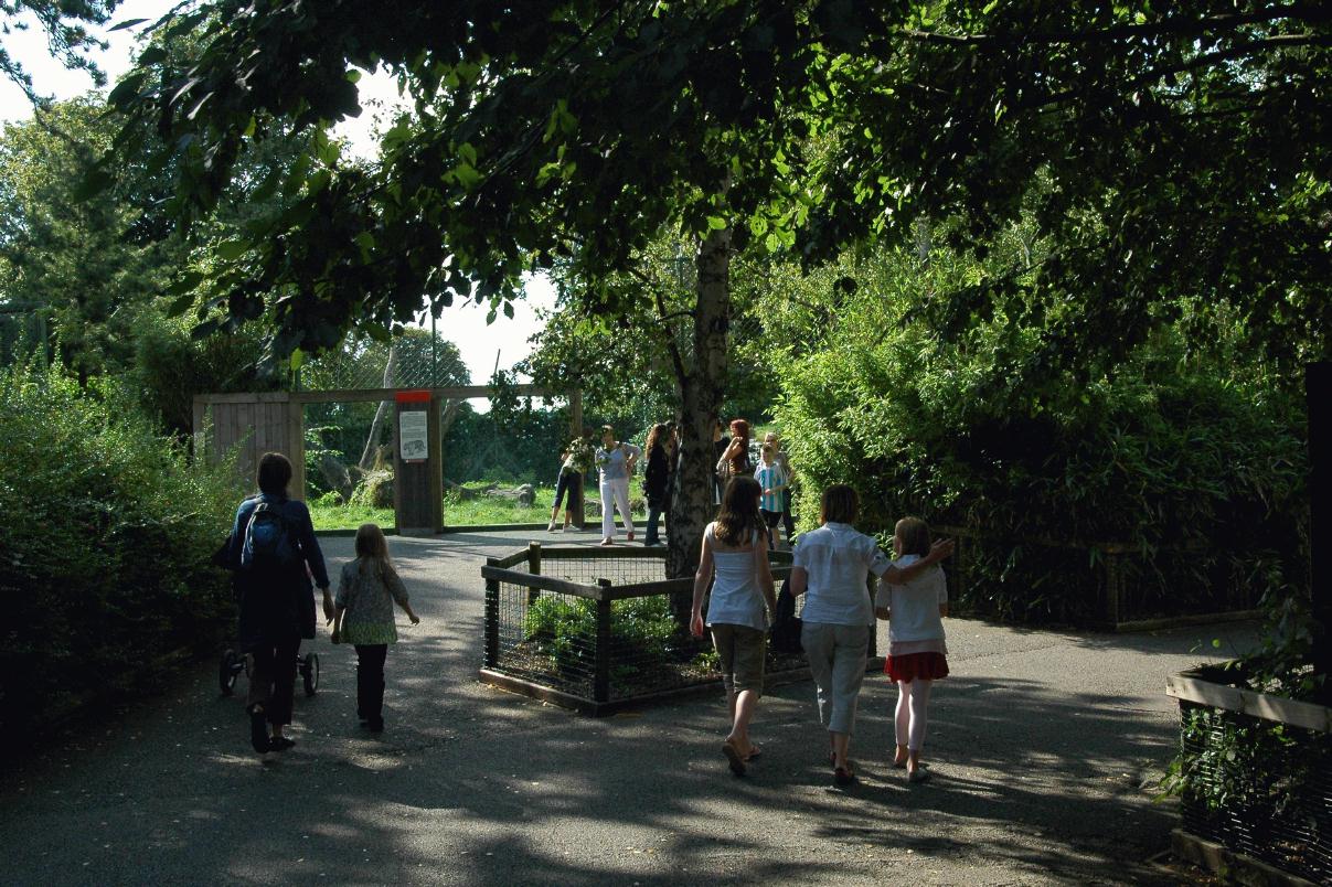 ./DublinZoo2007_03.jpg