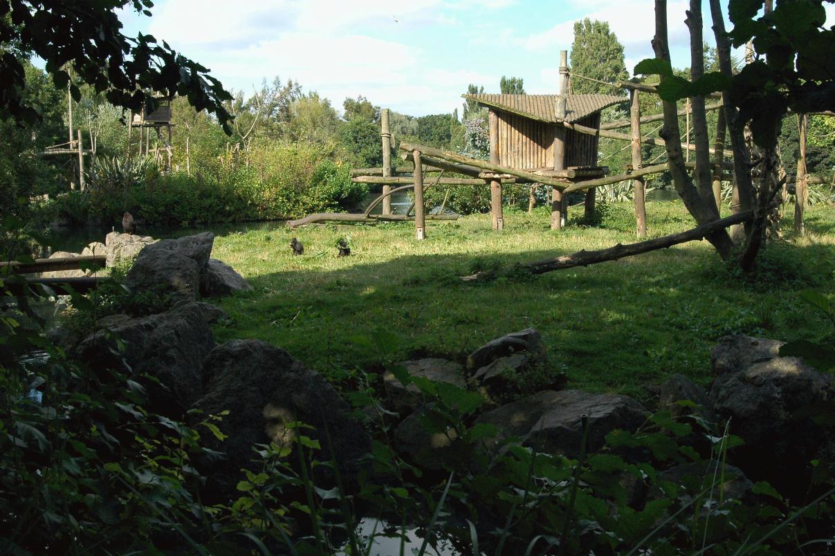 ./DublinZoo2007_04.jpg