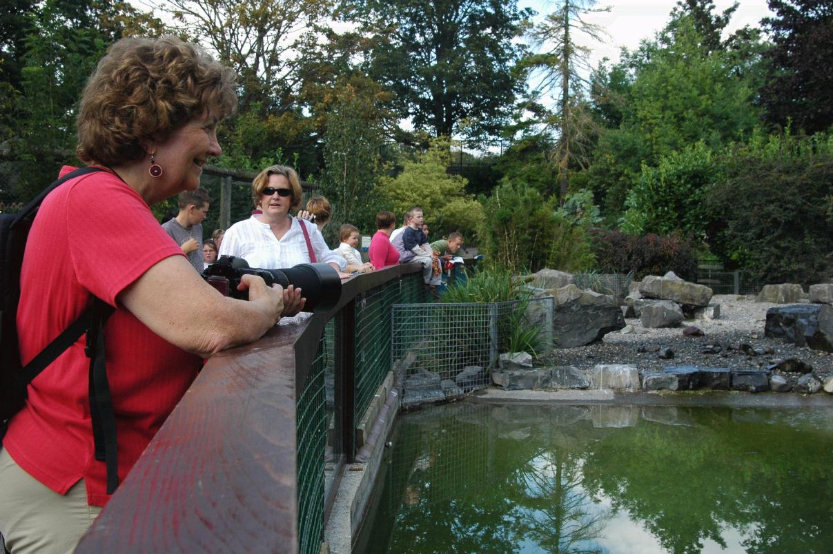 ./DublinZoo2007_11.jpg