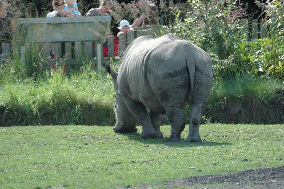 ./DublinZoo2007_30.jpg