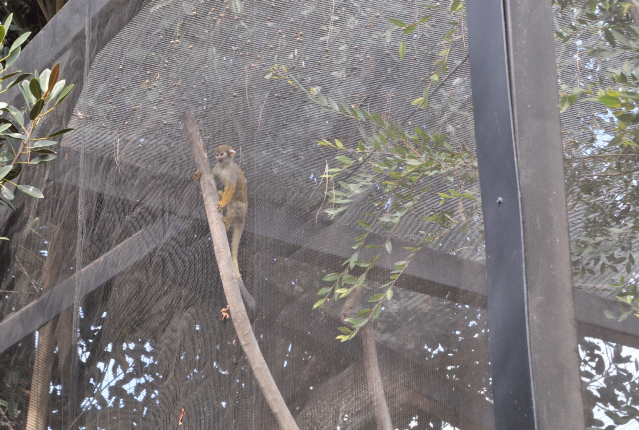 ./Oakland_Zoo_20131006_115844_B13_7596.jpg