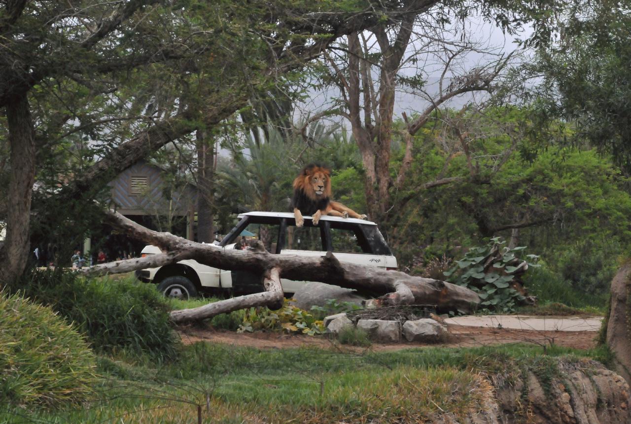 ./Wild_Animal_Park_San_Diego_20101015_122312_BCY_0670.jpg