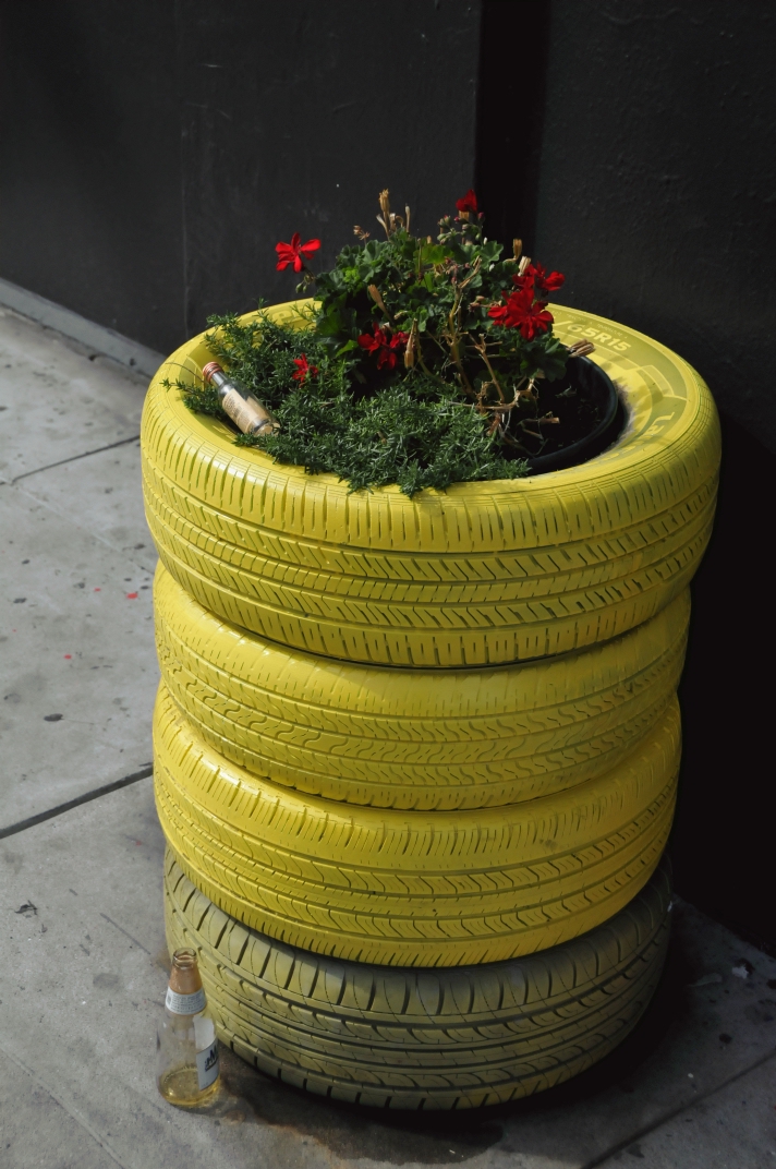 ./Plants_In_Tires_20241013_123421_C24_1224.jpg