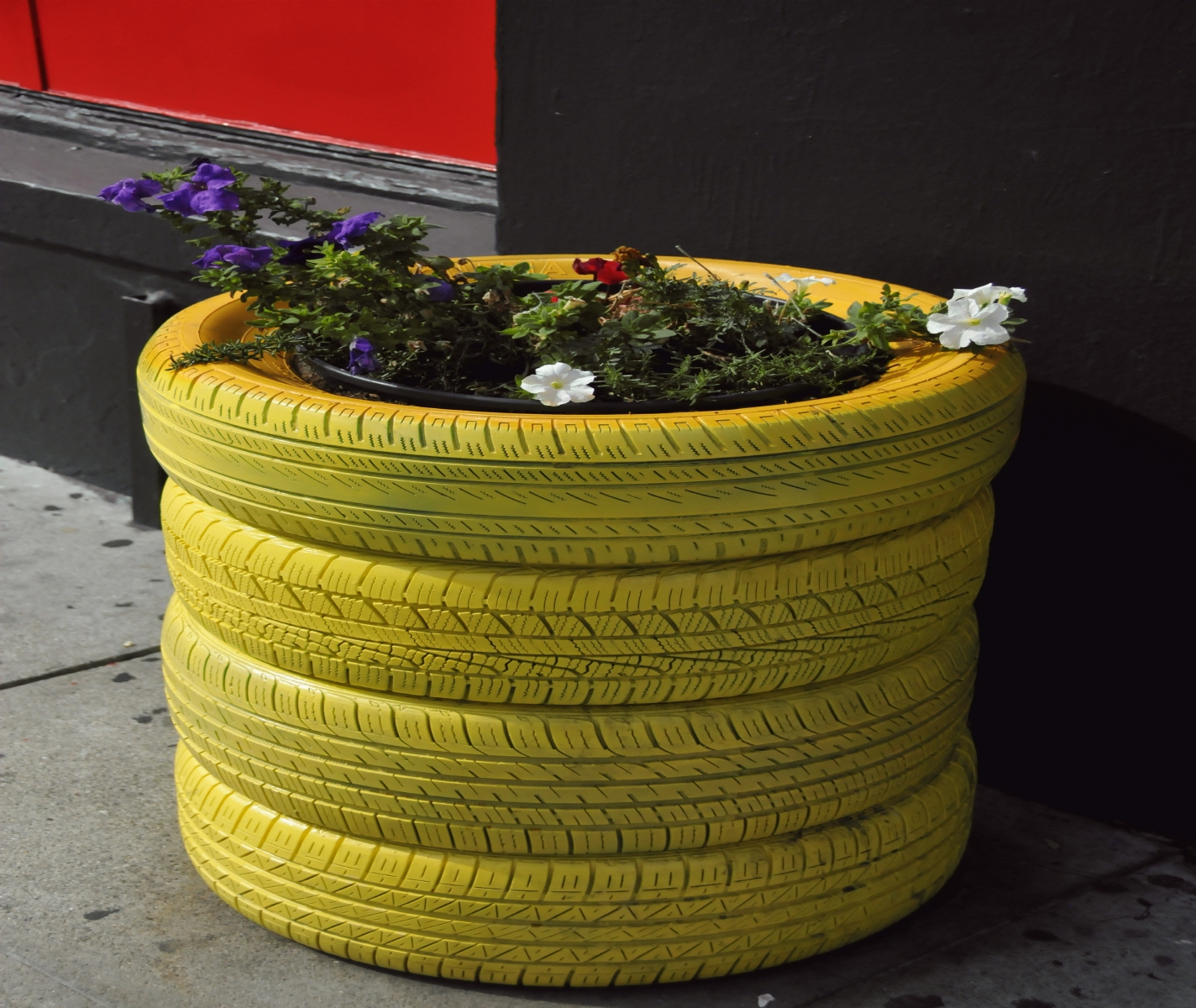 ./Plants_In_Tires_20241013_124205_C24_1222.jpg