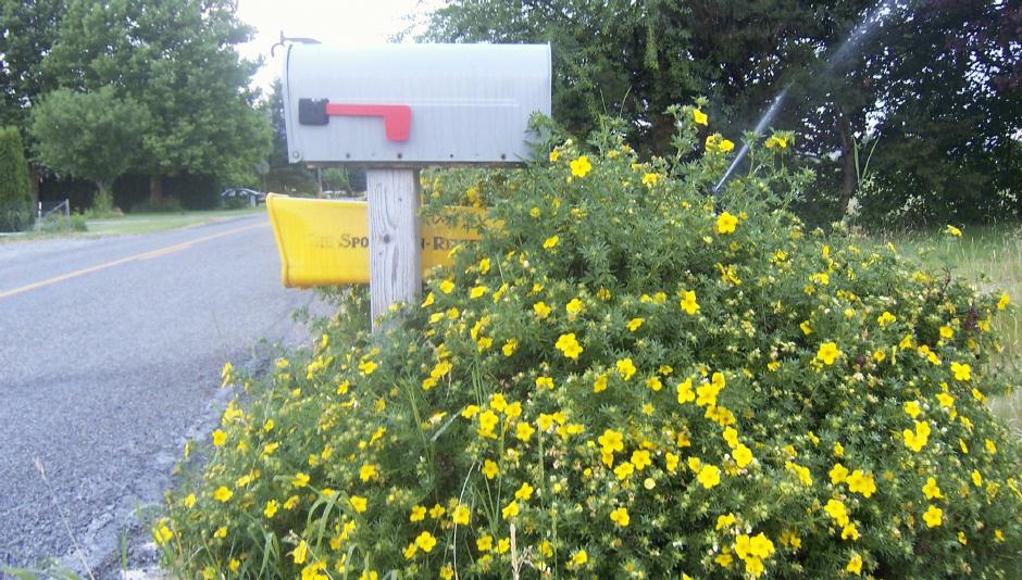 ./Mailbox_20060000_02.jpg