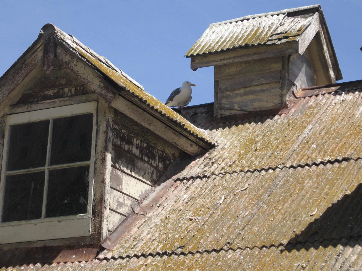 ./House_Roof_20080000_Alcatraz_0581DG.jpg