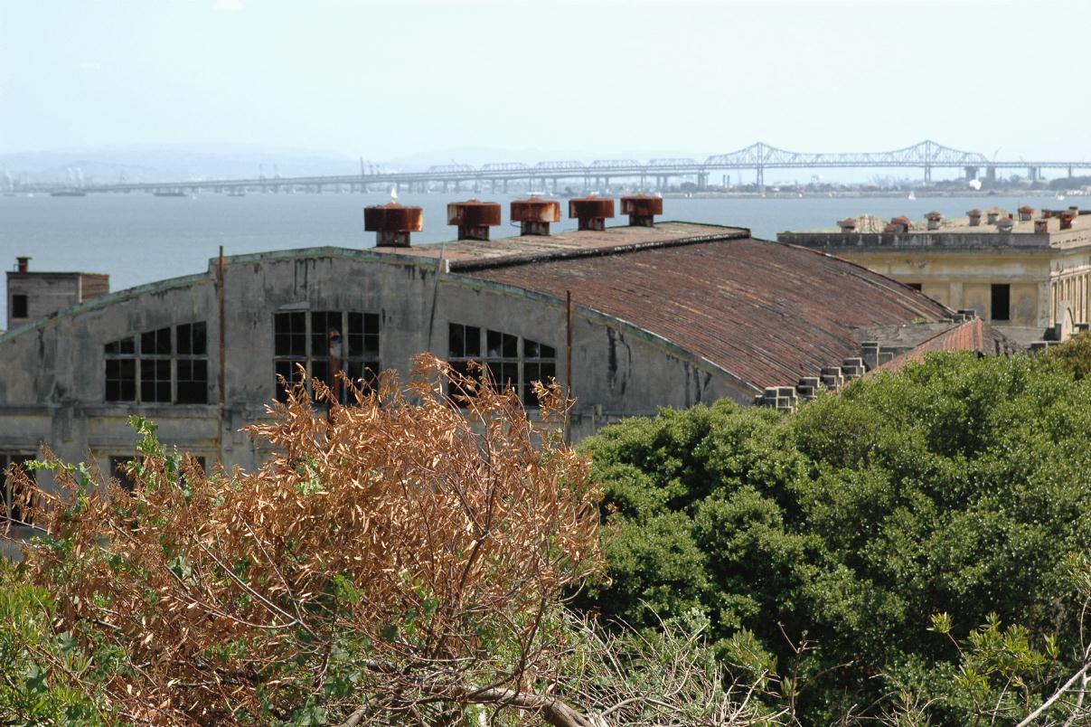 ./House_Roof_20080420_141102_AngelIsland_2185B.jpg