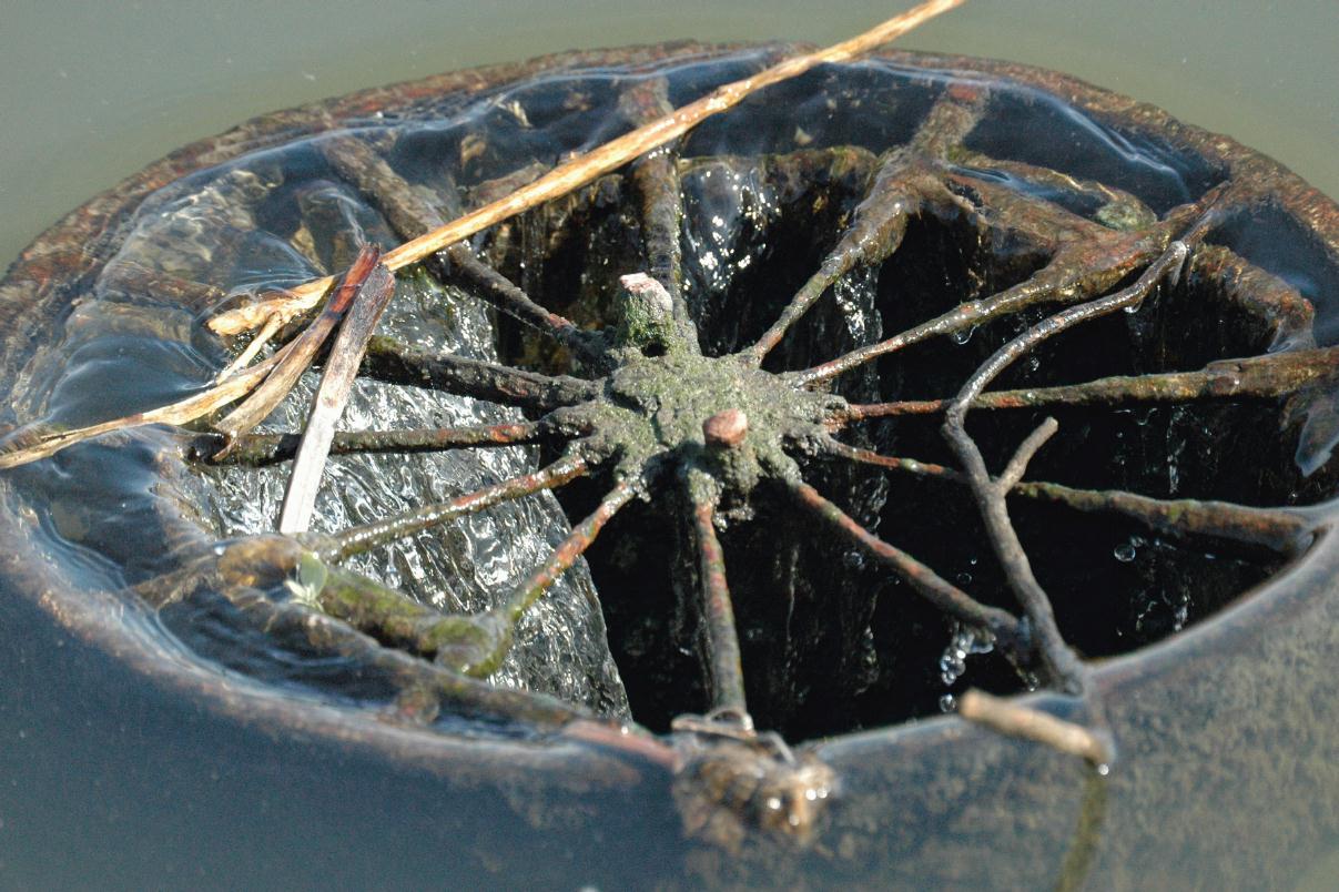 ./Drain20070000_01.jpg