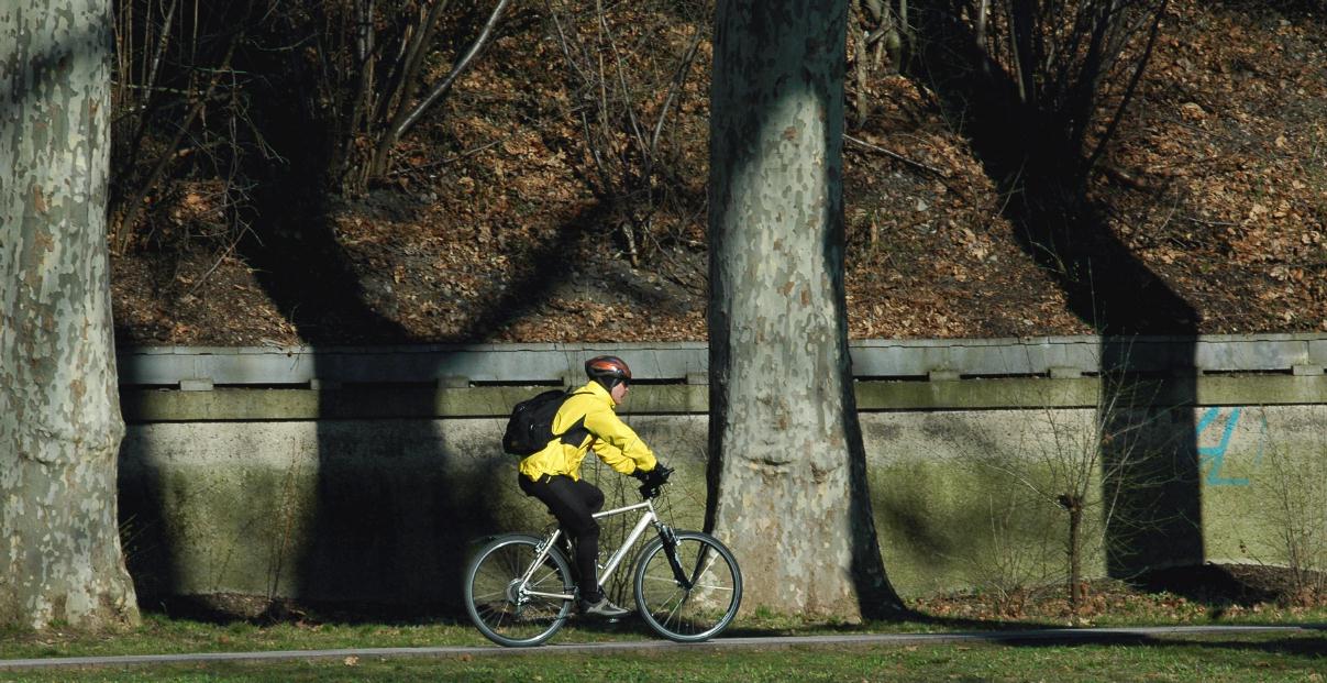 ./BicycleStuttgartGermany2008_1073B.jpg