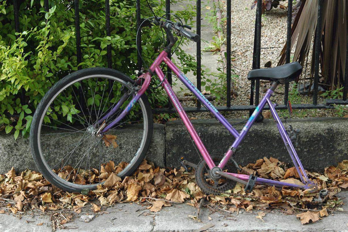 ./BicycleDublin2007_20.jpg