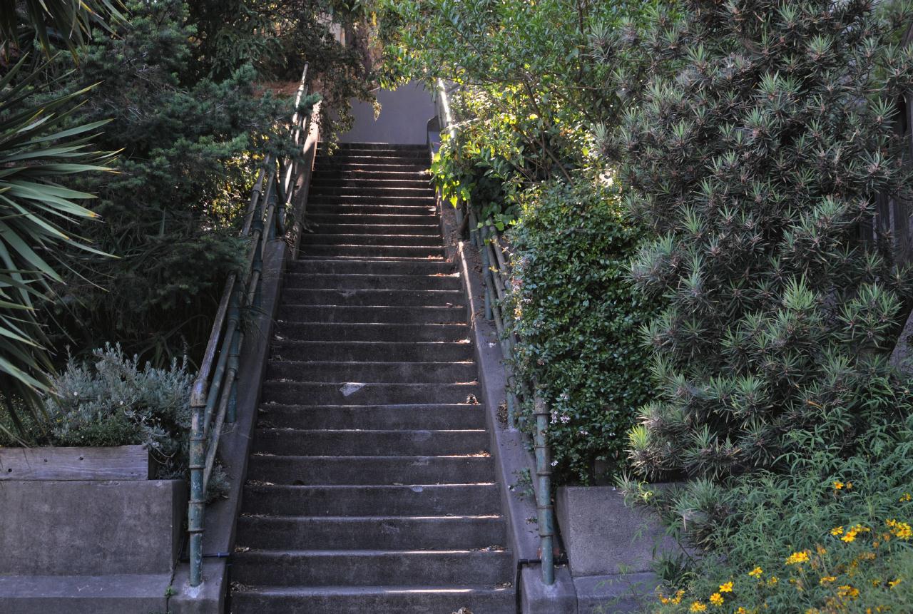 ./DolorseHeightsStairs21SF20090714_19_165626_6980BCX.jpg