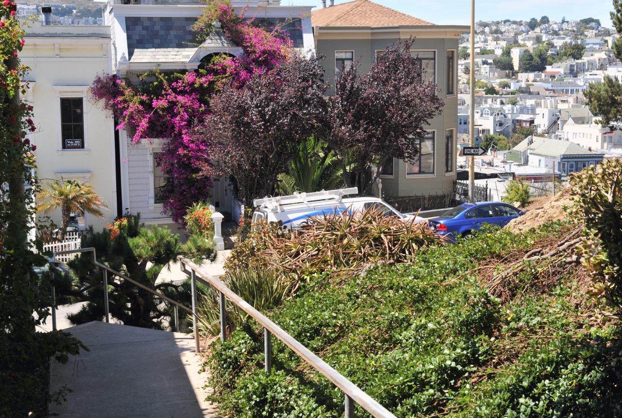 ./Stairways24BernalHeightsSF_31_20090812_142946_7926BCX.jpg