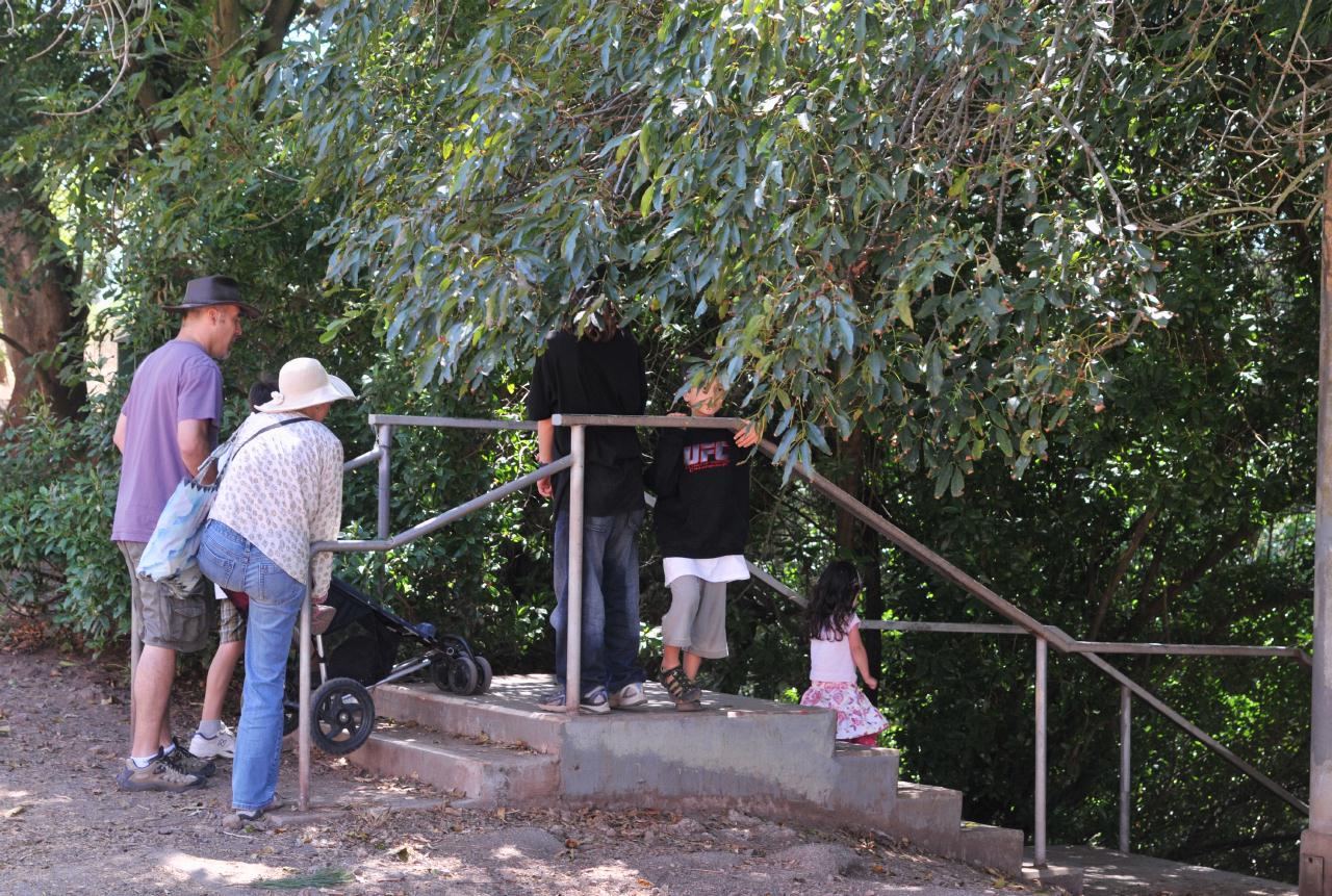 ./Stairways24BernalHeightsSF_39_20090805_150734_7760BCX.jpg