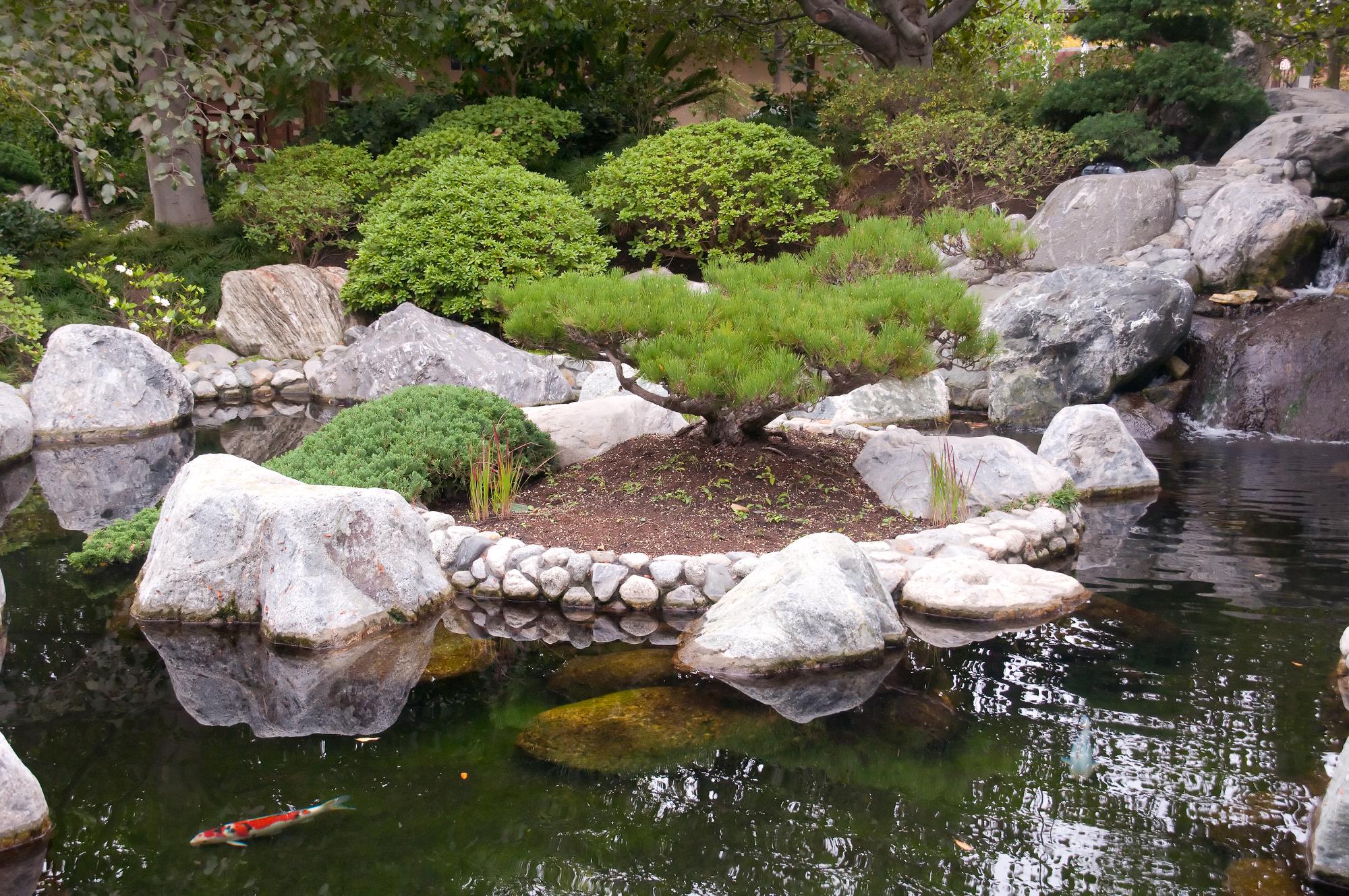 ./20110320_Koi_Pond_Japanese_Friendship_Garden_Balboa_Park_TNT_9788.jpg