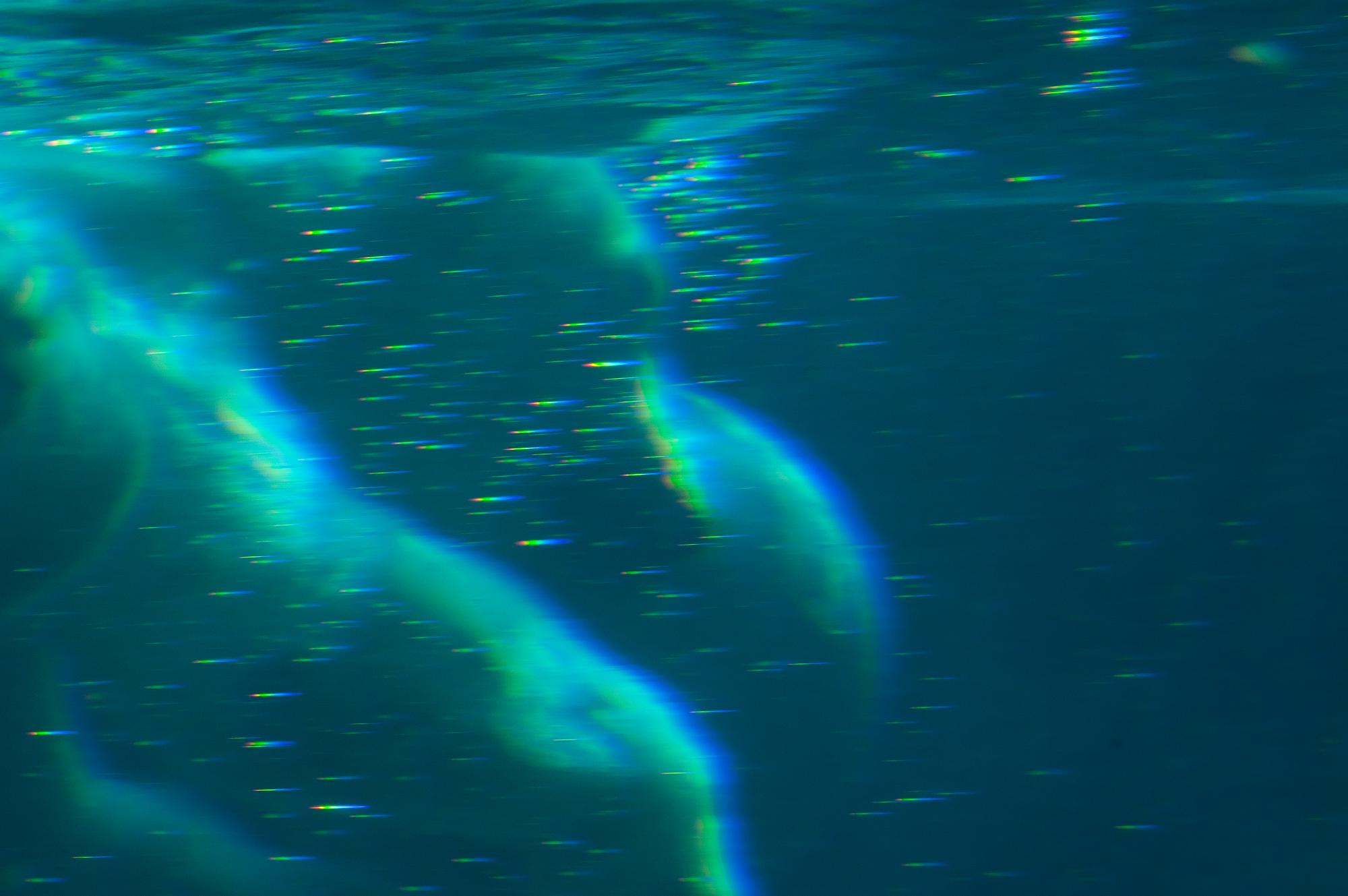 ./20110328_Polar_Bear_San_Diego_Zoo.jpg